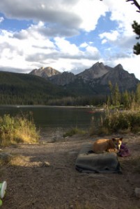 Ubu enjoys the scenery
