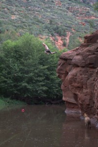 Matt jumps off the red rock cliffs into Oak Creek